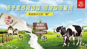 牛奶宣传banner