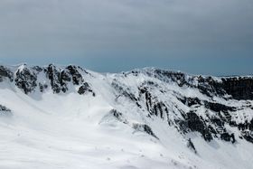 圣诞树 雪景 森林 图片素材 