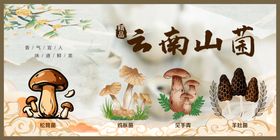 云南山菌展示图