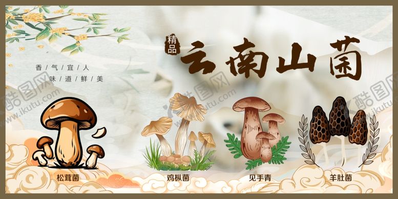 编号：42465712181826591032【酷图网】源文件下载-云南山菌展示图