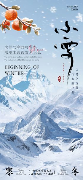 小雪节气车位宣传海报