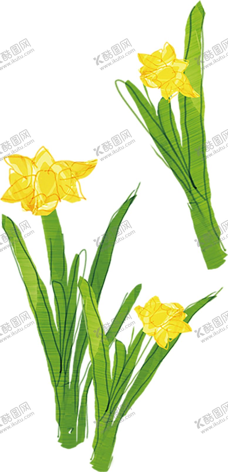 编号：31086010021741392568【酷图网】源文件下载-绿色装饰