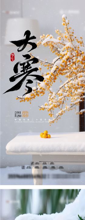 地产大小寒节气系列海报