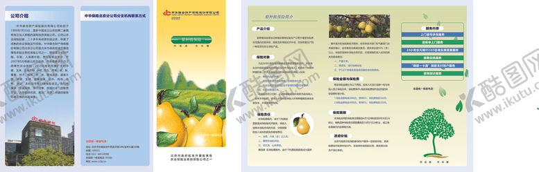 编号：56919306260911207488【酷图网】源文件下载-梨折页
