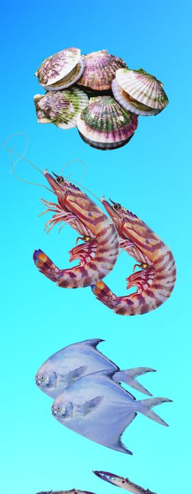 海鲜图片