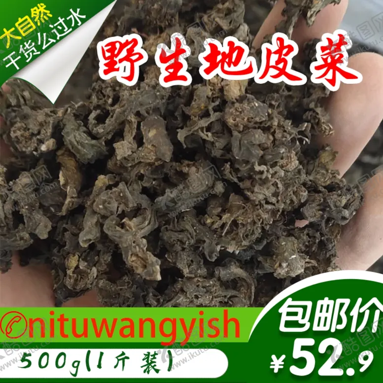 编号：26297111301317545702【酷图网】源文件下载-地皮菜