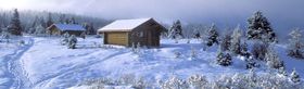 冬天雪地雪人植物树木