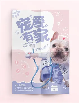宠物海报