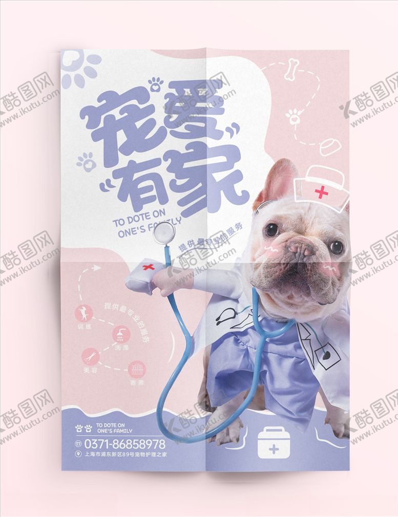 编号：26796810161905406444【酷图网】源文件下载-宠物海报