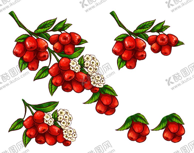 编号：88273910300456258480【酷图网】源文件下载-水果