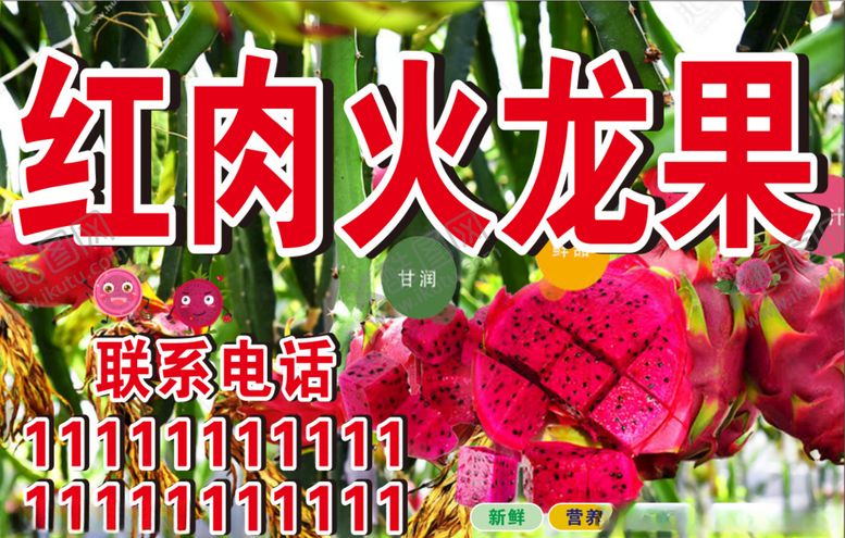 编号：92635807090723405470【酷图网】源文件下载-红肉火龙果