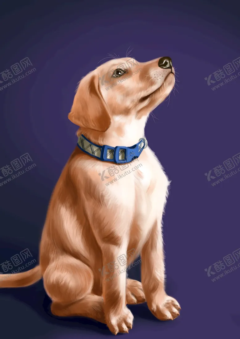 编号：84653710031332577913【酷图网】源文件下载-小狗