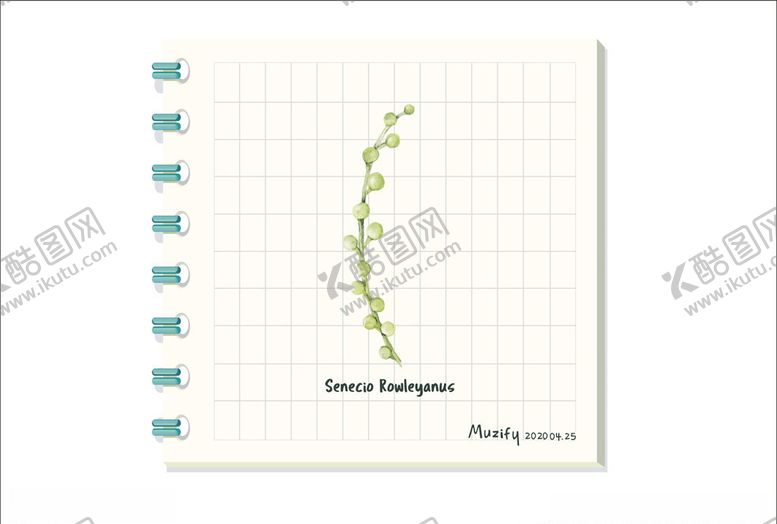 编号：73502710180945197178【酷图网】源文件下载-翡翠珠多肉植物图鉴