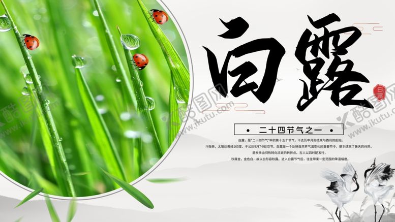 编号：22619510222026029421【酷图网】源文件下载-白露