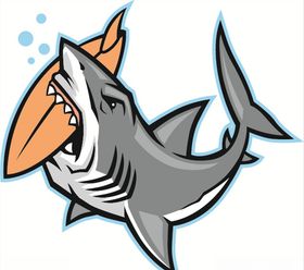 鲨鱼海洋公园海底潜水海海底生物