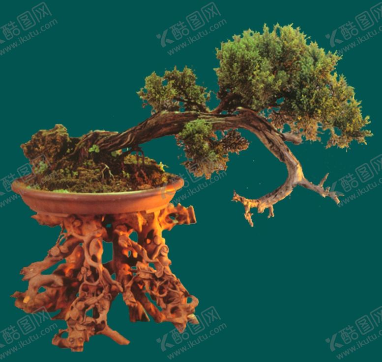 编号：82377910281556394145【酷图网】源文件下载-盆景