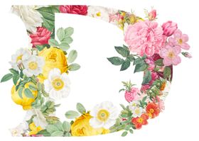 创意字母D