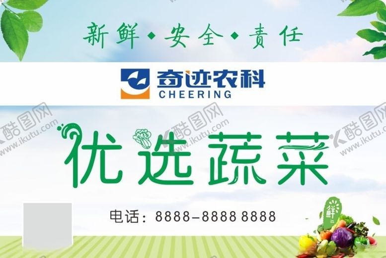 编号：56240810070020165207【酷图网】源文件下载-优选蔬菜绿色健康