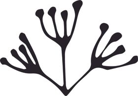 森系手绘花枝