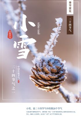 小雪海报