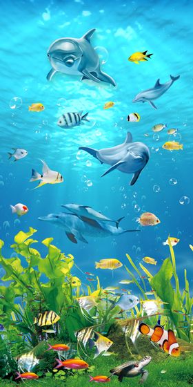 海洋世界