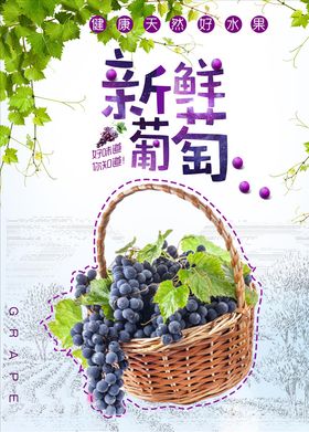 葡萄葡萄海报图片