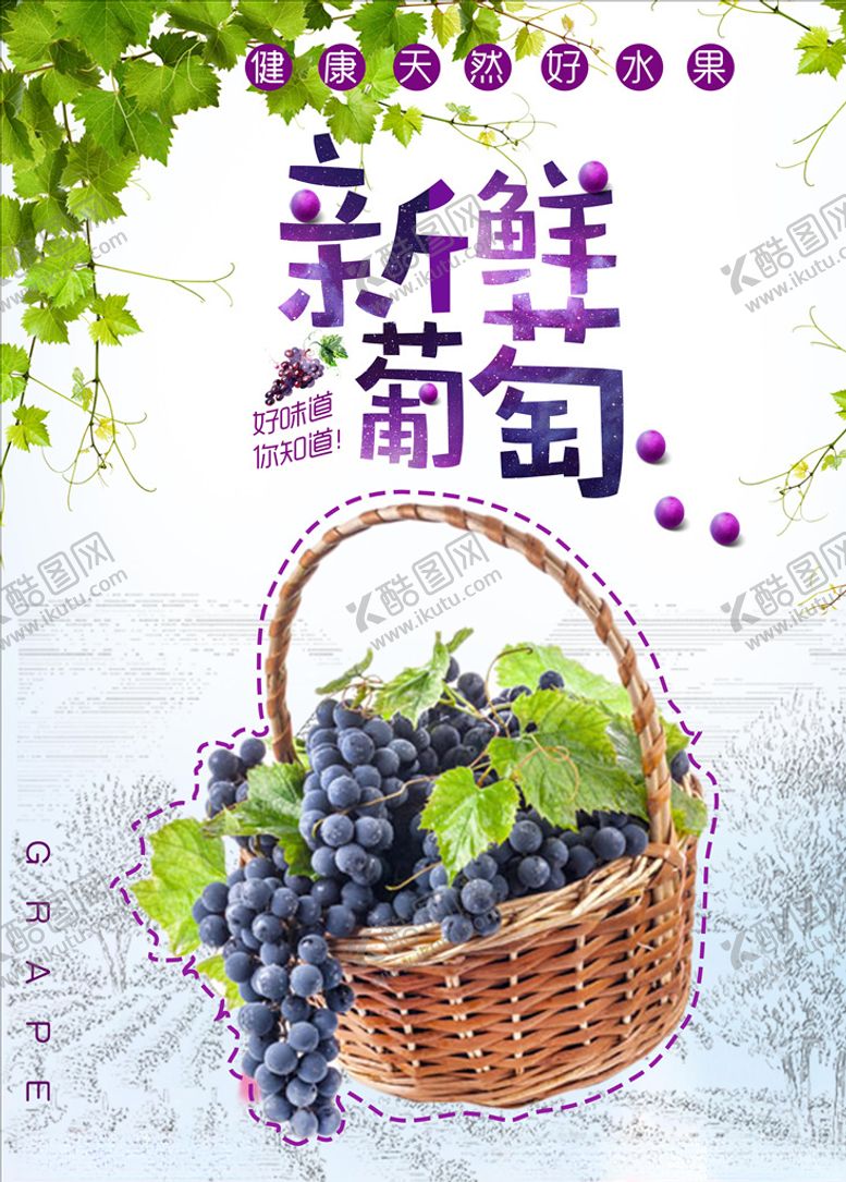 编号：23122905031407255445【酷图网】源文件下载-葡萄葡萄海报图片