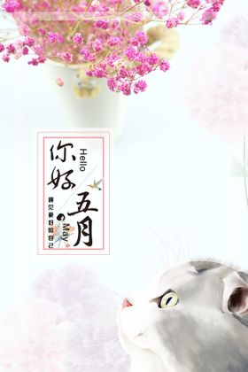 猫咪背景