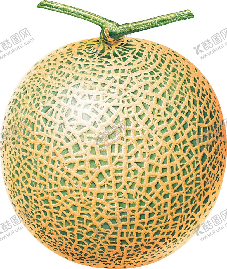 编号：29971405191126091798【酷图网】源文件下载-哈密瓜