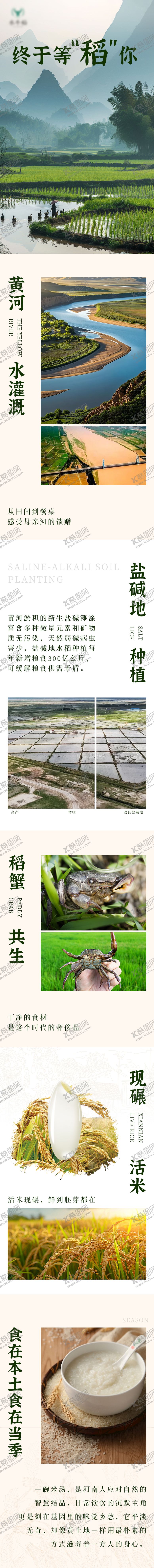 编号：97688009171801159984【酷图网】源文件下载-稻米推文公众号长文专题设计