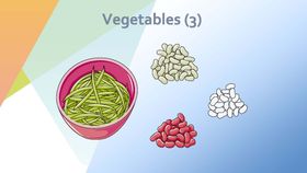 豆角蔬菜手绘矢量插画