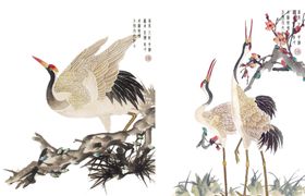 仙鹤图片