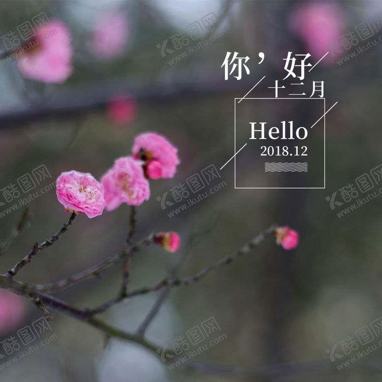 编号：65267205122027376651【酷图网】源文件下载-你好12月