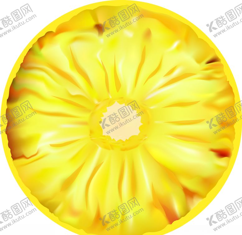 编号：91275007051020091153【酷图网】源文件下载-菠萝蜜