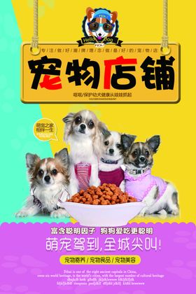 宠物店海报