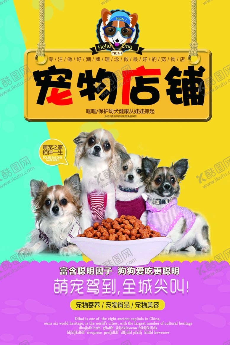 编号：84889011010616057310【酷图网】源文件下载-宠物店海报
