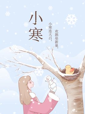 唯美插画小寒节气海报