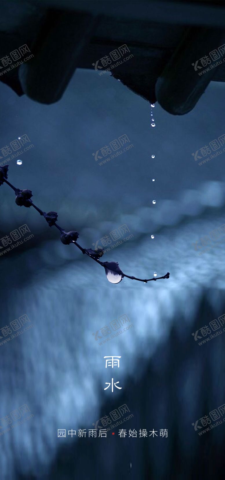 编号：80862409281508521091【酷图网】源文件下载-雨水雨水海报雨水节气