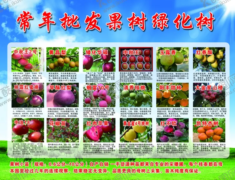 编号：90831602160034512324【酷图网】源文件下载-果树绿化树