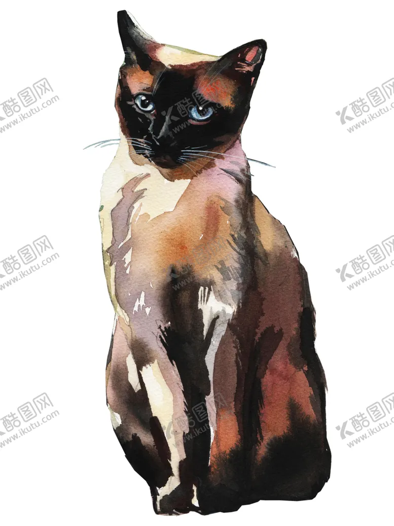 编号：47913002111438313799【酷图网】源文件下载-猫