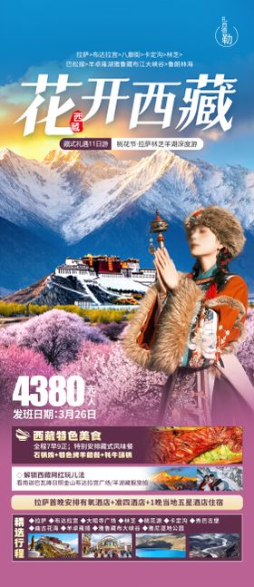 花开西藏旅游海报