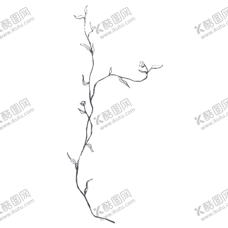 编号：68663810261129459280【酷图网】源文件下载-手绘植物