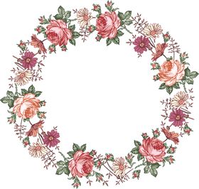 边框花卉花环花花朵花环
