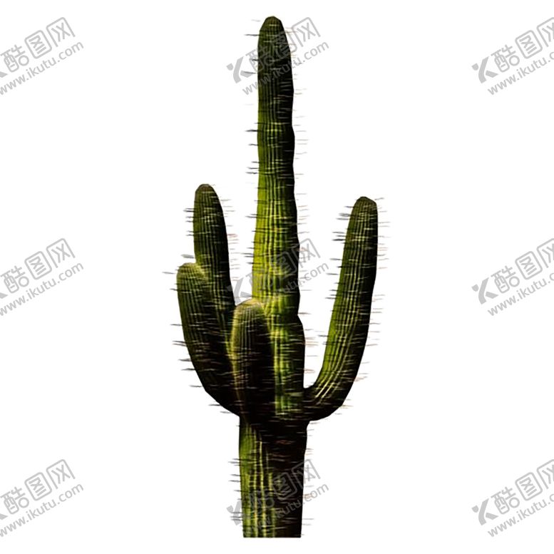编号：89598307050035316218【酷图网】源文件下载-绿色植物