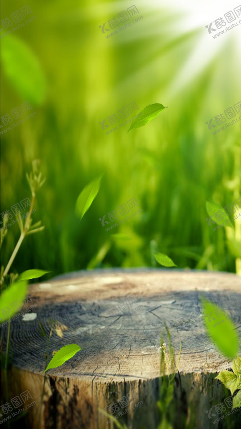 编号：58858910220004365166【酷图网】源文件下载-产品海报主图