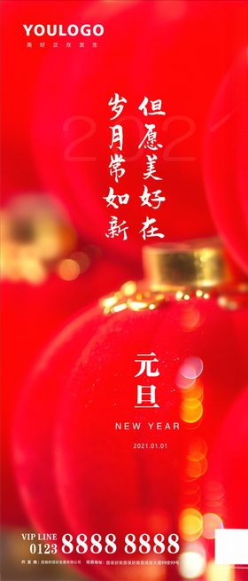 大红灯笼元旦节气海报