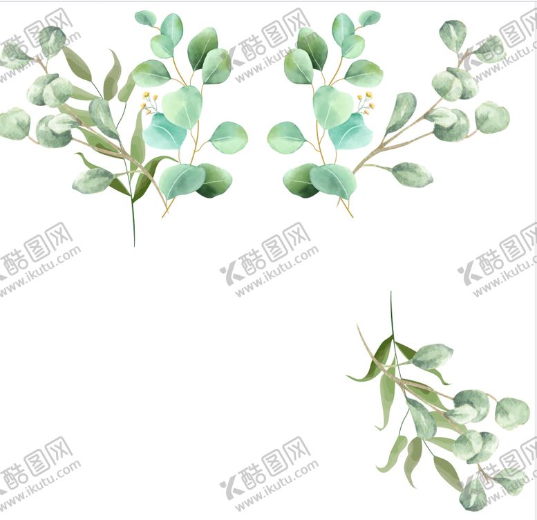 编号：26385609091141181163【酷图网】源文件下载-清新水彩风桉树叶插画