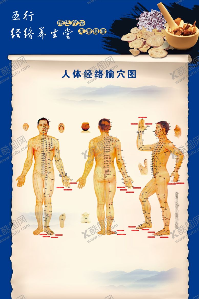 编号：25073909192152313916【酷图网】源文件下载-筋络图