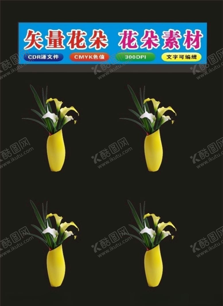 编号：69023207131143162287【酷图网】源文件下载-玫瑰花朵