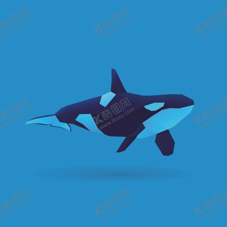 编号：20817610071844548214【酷图网】源文件下载-虎鲸